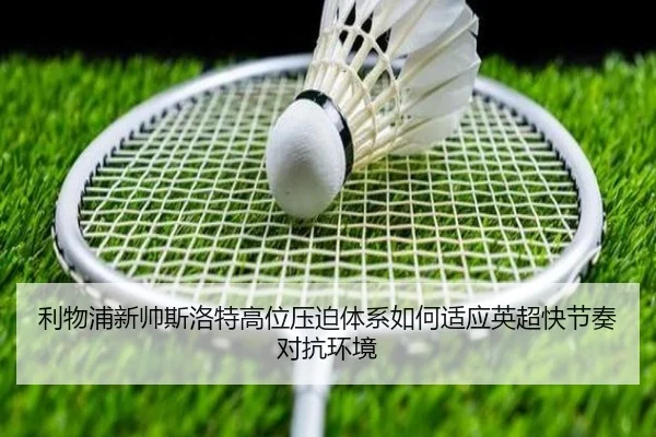 img_1782669291122_1579_1_389.jpg